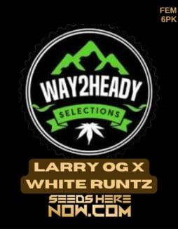 Way2heady Selections - Larry OG x White Runtz {FEM} [6pk]Way2heady Selections - Larry OG x White Runtz FEM 6pk