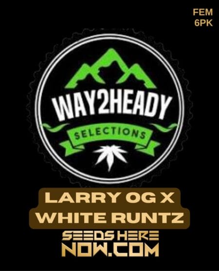 Way2heady Selections - Larry Og X White Runtz Fem 6pk