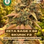 (Zeta S.A.G.E. x 82 Skunk) F2 (Regular) - Heart & Soil Seeds