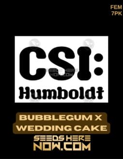 CSI Humboldt - Bubblegum x Wedding Cake {FEM} [7pk]CSI Humboldt - Bubblegum x Wedding Cake {FEM} [7pk]