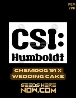CSI Humboldt - Chemdog '91 x Wedding Cake {FEM} [7pk]CSI Humboldt - Chemdog '91 x Wedding Cake