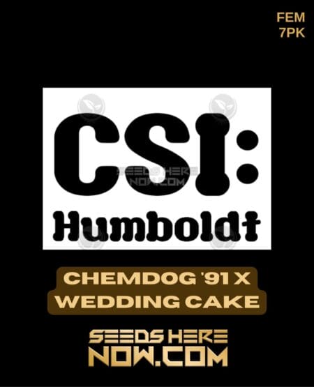 Csi Humboldt - Chemdog '91 X Wedding Cake