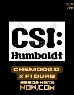 CSI Humboldt - Chemdog D x F1 Durb {FEM} [7pk]CSI Humboldt - Chemdog D x F1 Durb {FEM} [7pk]