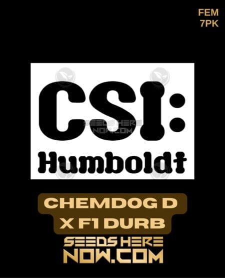 Csi Humboldt - Chemdog D X F1 Durb {fem} [7pk]