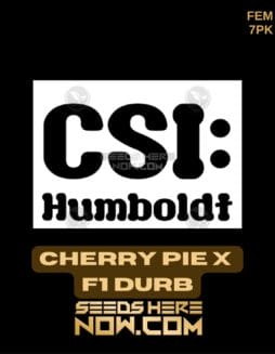 CSI Humboldt - Cherry Pie x F1 Durb {FEM} [7pk]CSI Humboldt - Cherry Pie x F1 Durb {FEM} [7pk]