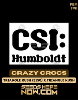 CSI Humboldt - Crazy Crocs {FEM} [7pk]CSI Humboldt - Crazy Crocs {FEM} [7pk]