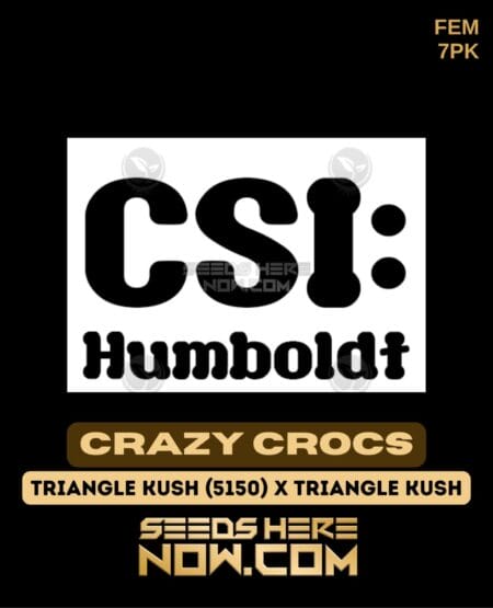 Csi Humboldt - Crazy Crocs {fem} [7pk]