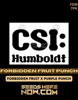 CSI Humboldt - Forbidden Fruit Punch {FEM} [7pk]CSI Humboldt - Forbidden Fruit Punch {FEM} [7pk]