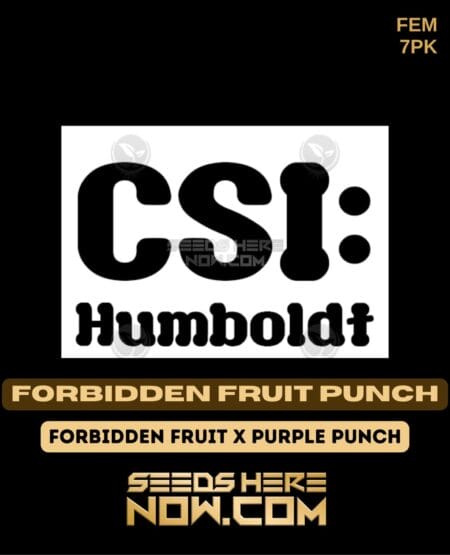 Csi Humboldt - Forbidden Fruit Punch {fem} [7pk]