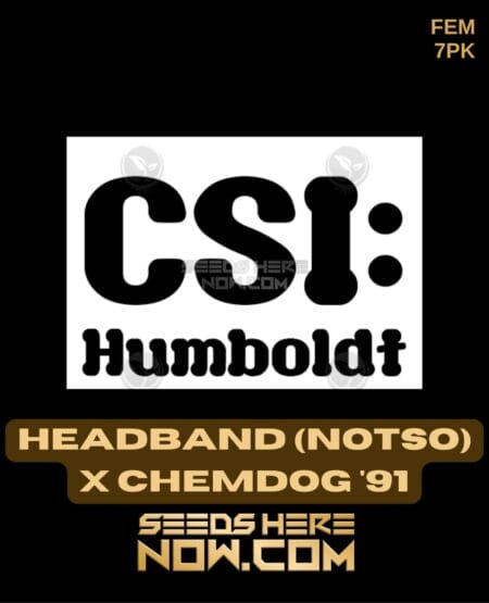 Csi Humboldt - Headband X Chemdog '91 {fem} [7pk]