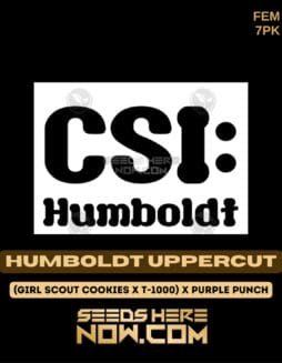 CSI Humboldt - Humboldt Uppercut {FEM} [7pk]Csi Humboldt - Humboldt Uppercut {fem} [7pk]