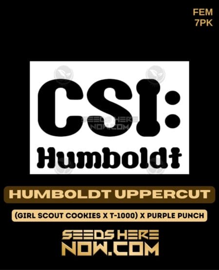 Csi Humboldt - Humboldt Uppercut {fem} [7pk]