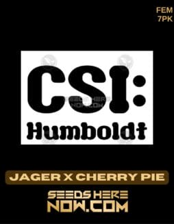CSI Humboldt - Jager x Cherry Pie {FEM} [7pk]Csi Humboldt - Jager X Cherry Pie {fem} [7pk]