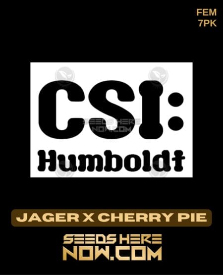 Csi Humboldt - Jager X Cherry Pie {fem} [7pk]
