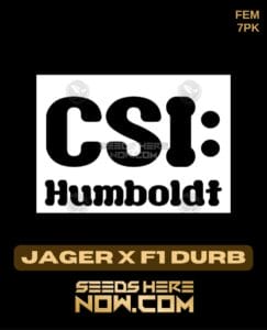 Jager X F1 Durb (feminized) - Csi Humboldt