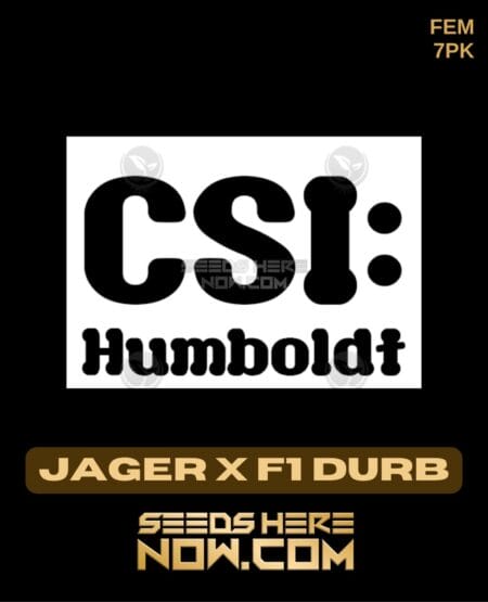 Csi Humboldt - Jager X F1 Durb {fem} [7pk]