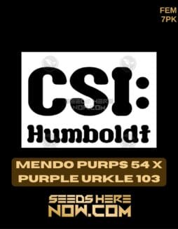 CSI Humboldt - Mendo Purps 54 x Purple Urkle 103 {FEM} [7pk]CSI Humboldt - Mendo Purps 54 x Purple Urkle 103 {FEM} [7pk]