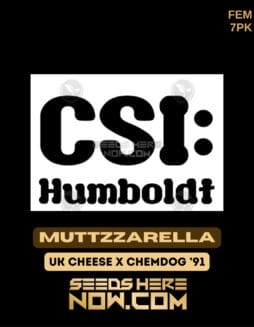 CSI Humboldt - Muttzzarella {FEM} [7pk]CSI Humboldt - Muttzzarella {FEM} [7pk]