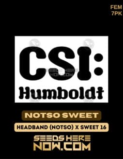 CSI Humboldt - Notso Sweet {FEM} [7pk]CSI Humboldt - Notso Sweet {FEM} [7pk]
