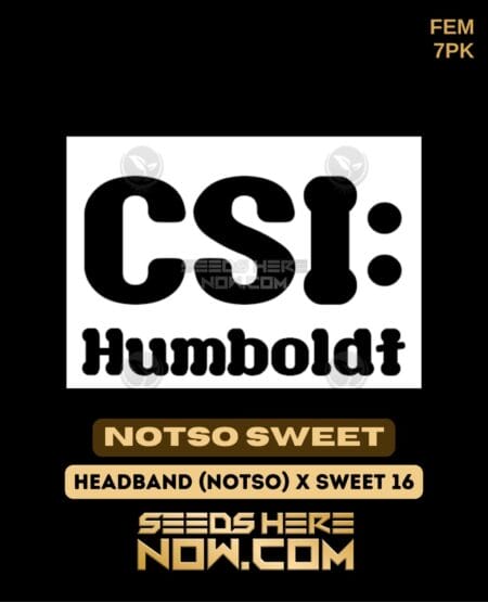 Csi Humboldt - Notso Sweet {fem} [7pk]