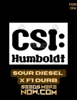 CSI Humboldt - Sour Diesel x F1 Durb {FEM} [7pk]CSI Humboldt - Sour Diesel x F1 Durb {FEM} [7pk]