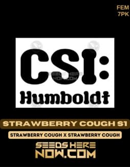 CSI Humboldt - Strawberry Cough S1 {FEM} [7pk]Csi Humboldt - Strawberry Cough S1 {fem} [7pk]