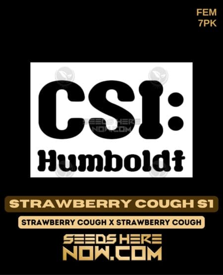 CSI Humboldt - Strawberry Cough S1 {FEM} [7pk]