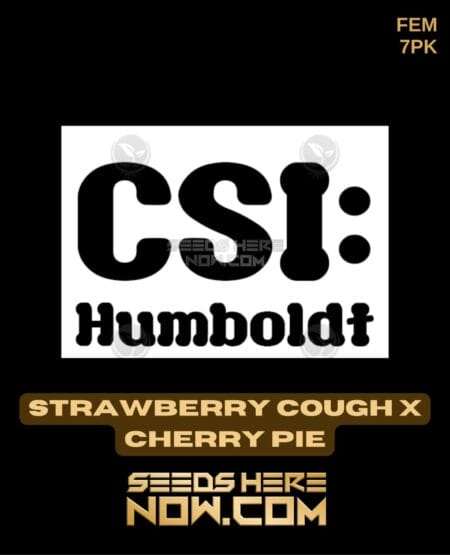 Csi Humboldt - Strawberry Cough X Cherry Pie {fem} [7pk]
