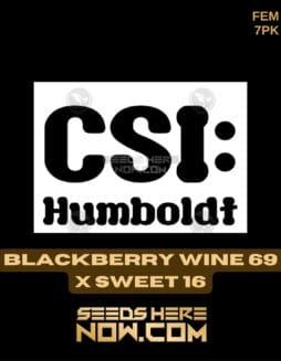 CSI Humboldt - Sweet Blackwater Wine {FEM} [7pk]CSI Humboldt - Sweet Blackwater Wine {FEM} [7pk]