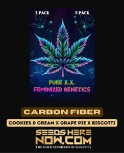 Carbon Fiber S1 (feminized) - Pure Xx