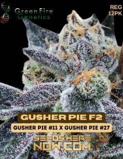 Green Fire Genetics - Gusher Pie F2 {REG} [12pk]Green Fire Genetics - Gusher Pie F2 {reg} [12pk]