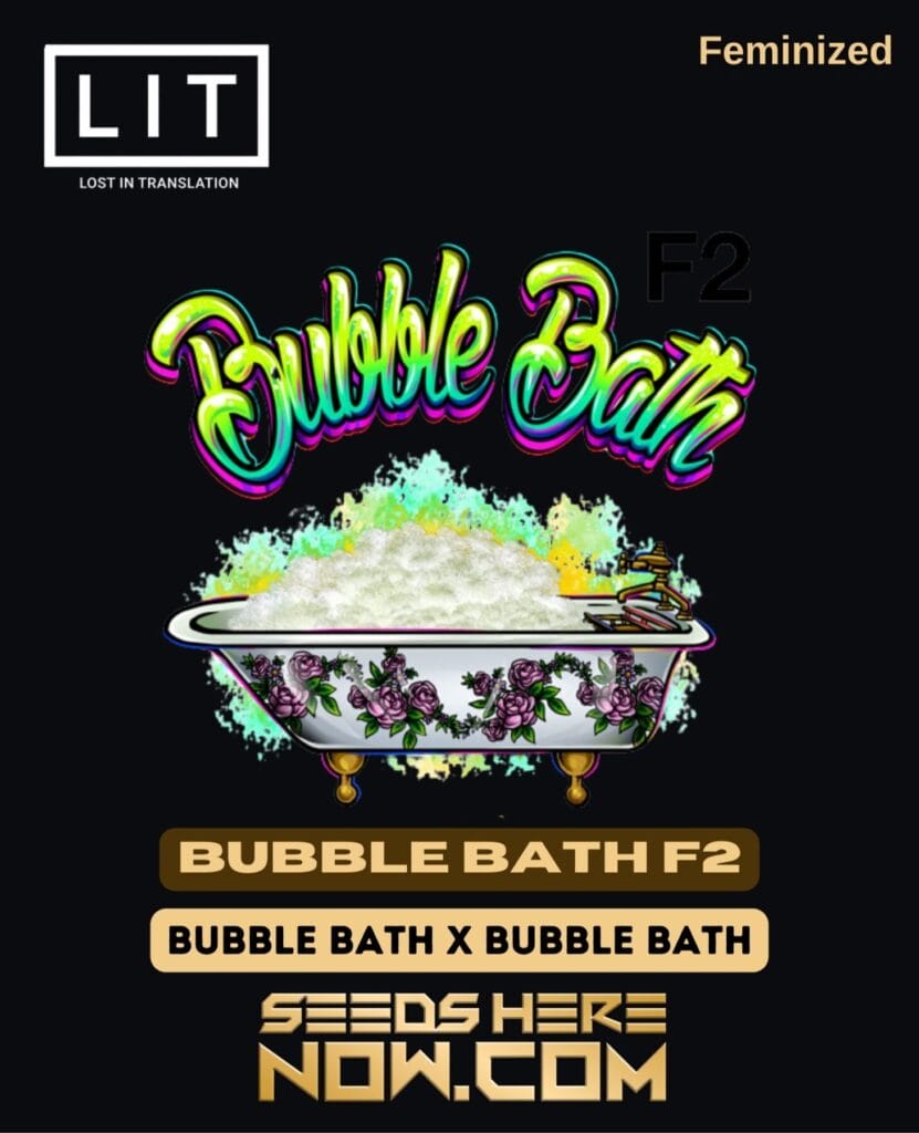 LIT Farms Bubble Bath F2 {FEM} Seeds Here Now