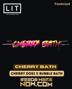 Cherry Bath (feminized) - Lit Farms