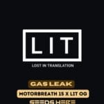 Gas Leak (Feminized) - LIT Farms