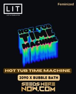 Hot Tub Time Machine (feminized) - Lit Farms