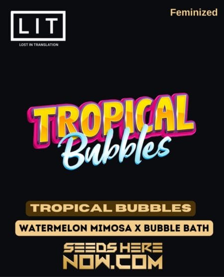 Lit Farms - Tropical Bubbles Fem