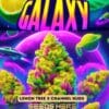 Lemon kush galaxy (feminized) - pure xx