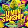 Lemon - Aid Starship (feminized) - Pure Xx