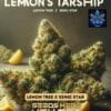Lemon - Aid Starship (feminized) - Pure Xx