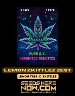 Pure XX - Lemon Zkittlez Zest