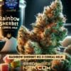 Cereal Rainbow Splash S1 (Feminized) (space) Pure XX