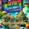 Rainbow Sherbet #11 x Gush Mintz (Feminized) (space) Pure XX