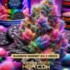 Oreo Rainbow Riot (feminized) - Pure Xx