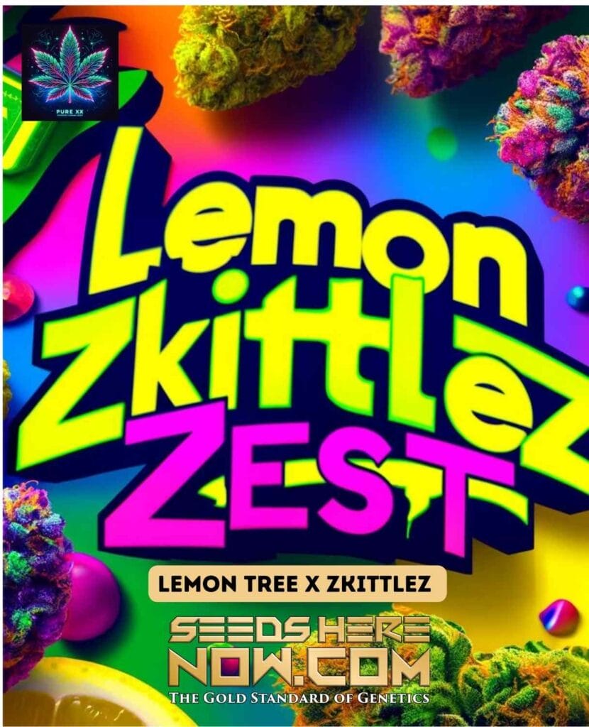 Lemon Zkittlez Zest Seeds: THC 20-25%, 60-70 Days Flowering