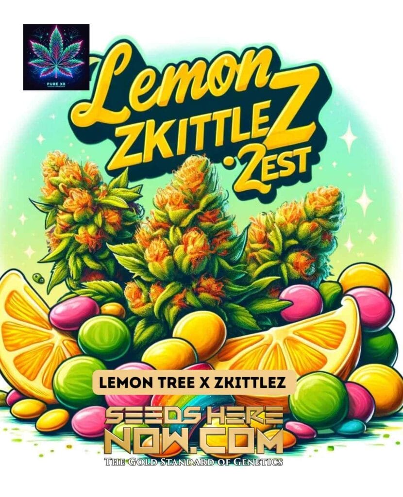 Lemon Zkittlez Zest Seeds: THC 20-25%, 60-70 Days Flowering