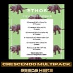Crescendo Multipack (Feminized) - Ethos Genetics