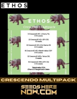 Ethos Genetics - Crescendo Multipack {FEM}Ethos Genetics - Crescendo Multipack {FEM} *PRESALE*