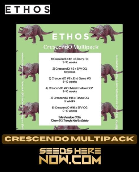 Ethos Genetics - Crescendo Multipack {fem} *presale*