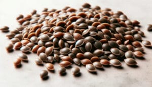 Best High(space)CBD Feminized Seeds for Health