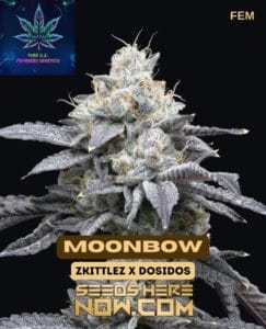 Moonbow S1 (feminized) - Pure Xx